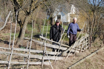 Rolf och Börje river den gamla tunen