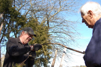 Rolf och Börje sätter bandar