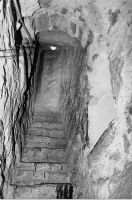 gff944_220