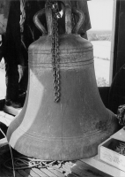 gff944_231