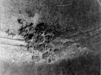 gff944_245