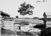 gff944_250