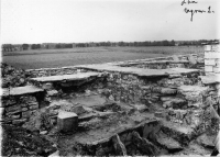 gff944_254