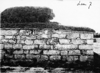 gff944_264