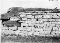 gff944_269