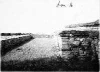 gff944_272