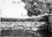 gff944_273
