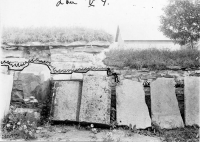 gff944_282