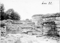gff944_289