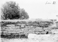 gff944_296