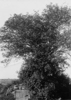 gff944_334