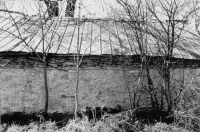 gff944_397